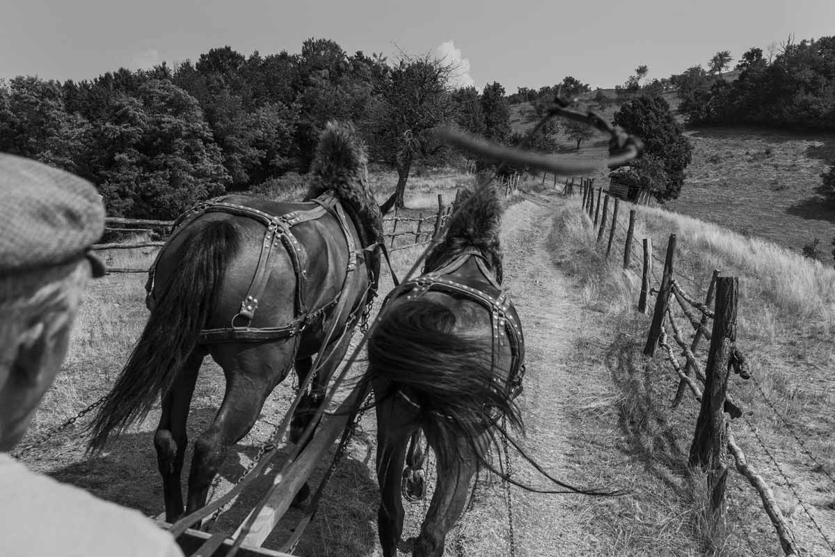 Fotografie z cyklu Evropský deník - Mezi českými vesnicemi, Rumunsko, 2015